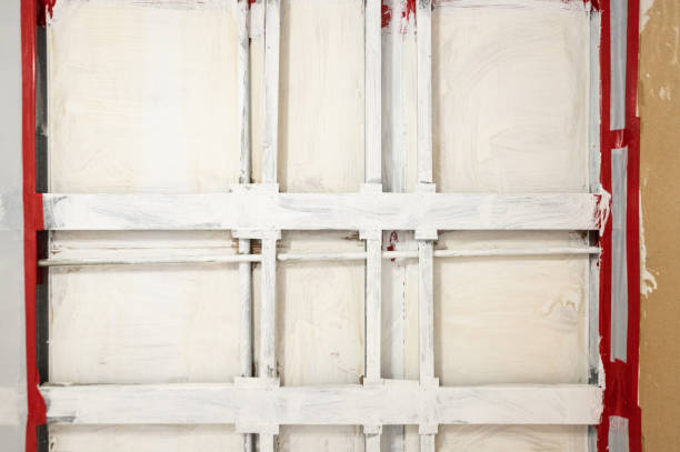 Best Mold Prevention Services  in Park View, IA