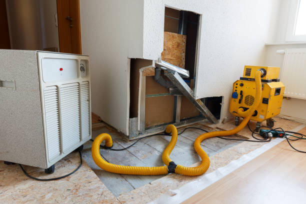 Best Post-Remediation Verification Testing  in Park View, IA